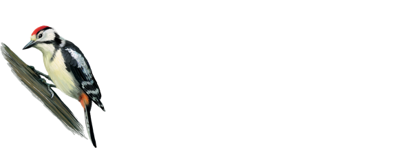 Sylvestris Wonen: Woonbeleving op topniveau 